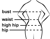 Body Type Illustration